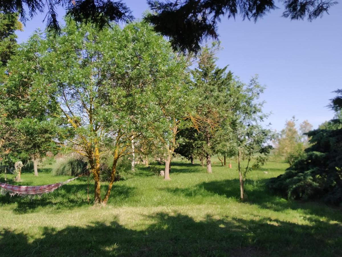 Apartament Le Clot Agde Zewnętrze zdjęcie